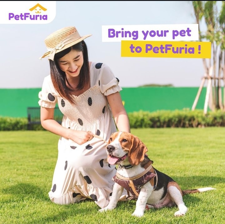 Click on this video for more information.